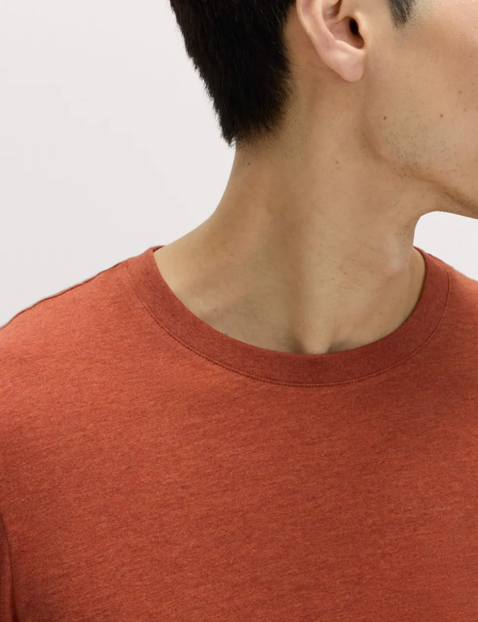 Regular Fit Pure Cotton Crew Neck T-Shirt