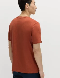 Regular Fit Pure Cotton Crew Neck T-Shirt