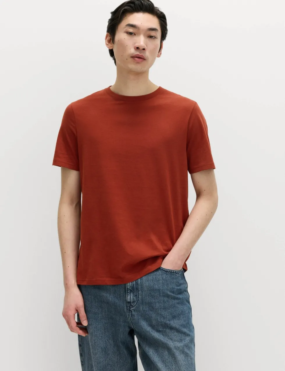 Regular Fit Pure Cotton Crew Neck T-Shirt