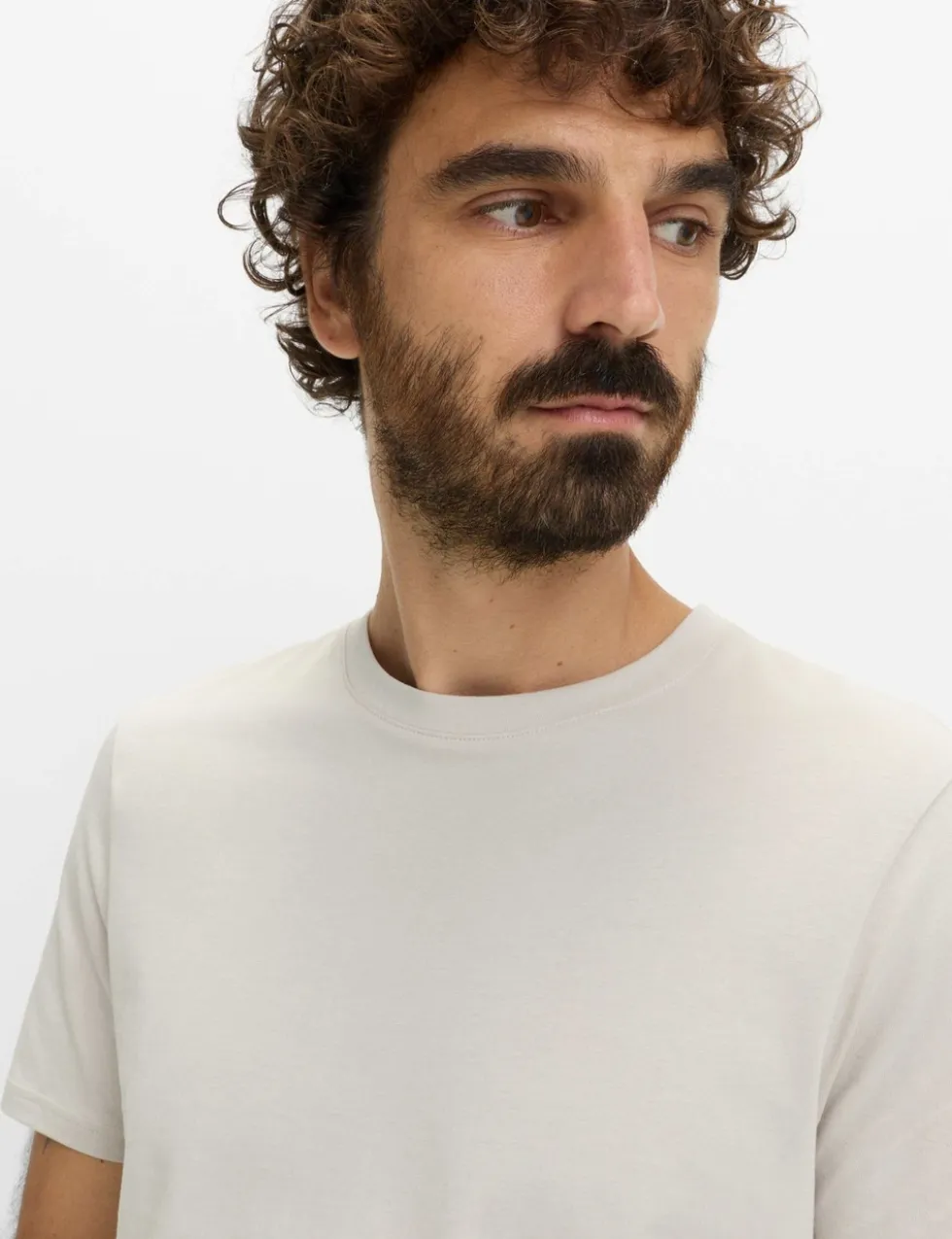 Regular Fit Pure Cotton Crew Neck T-Shirt