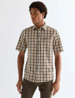 Regular Fit Pure Cotton Short Sleeve Shirt