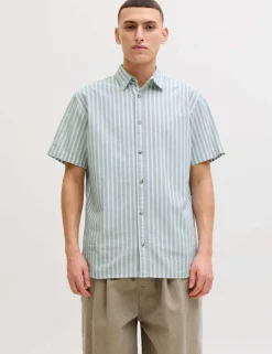 Regular Fit Striped Short Sleeve Oxford Shirt