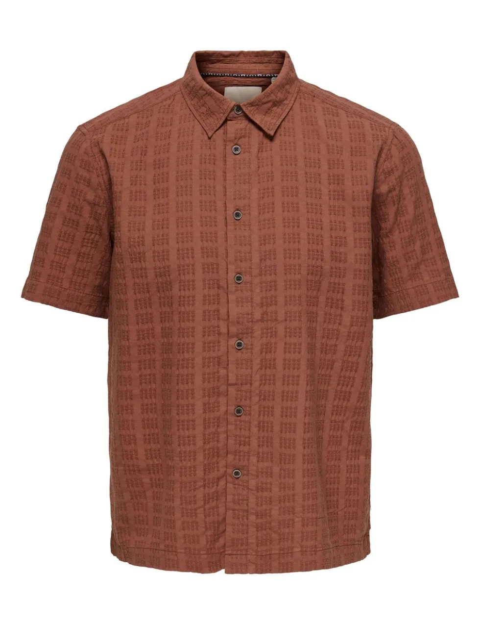 Regular Fit Textured Short Sleeve Shirt