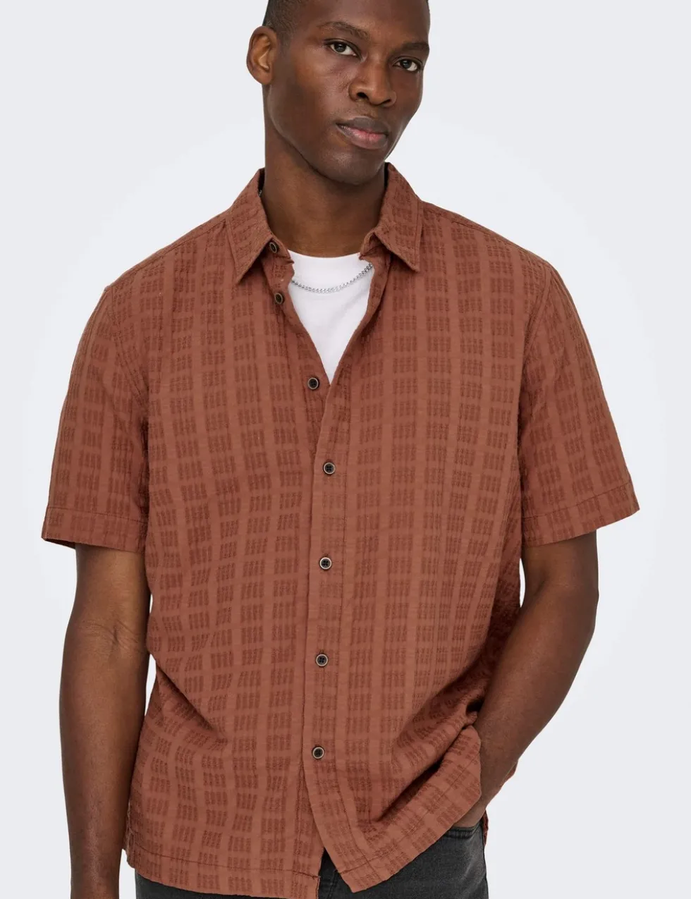 Regular Fit Textured Short Sleeve Shirt
