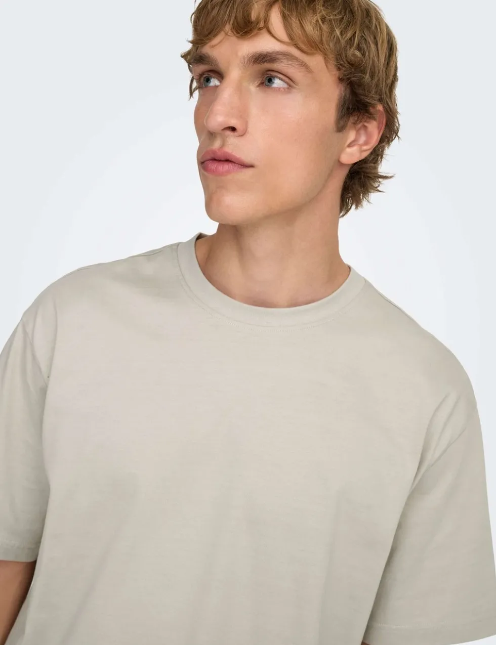 Relaxed Fit Pure Cotton Crew Neck T-Shirt