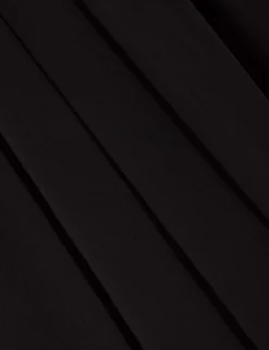 Sheer Pleated Wide Leg Trousers