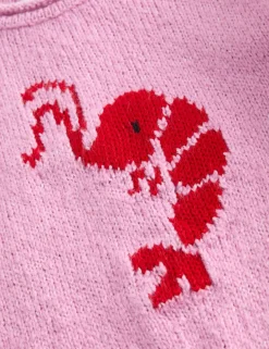 Shrimp Knitted Jumper (2-10 Yrs)