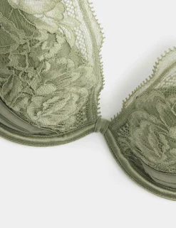 Silk & Lace Wired Plunge Bra A-E