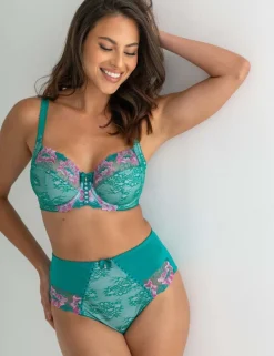 Sofia Lace Embroidered Full Briefs
