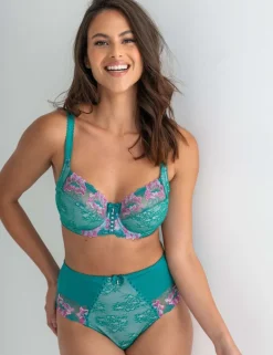 Sofia Lace Embroidered Full Briefs