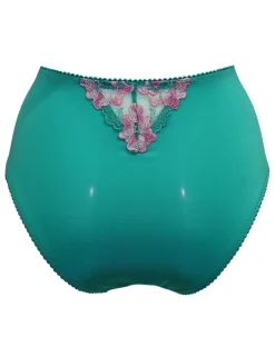 Sofia Lace Embroidered Full Briefs