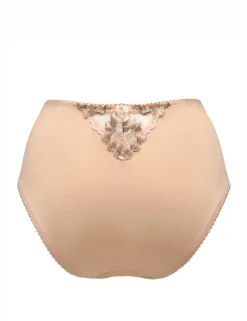 Sofia Lace Embroidered Full Briefs