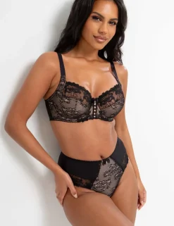 Sofia Lace Embroidered Full Briefs