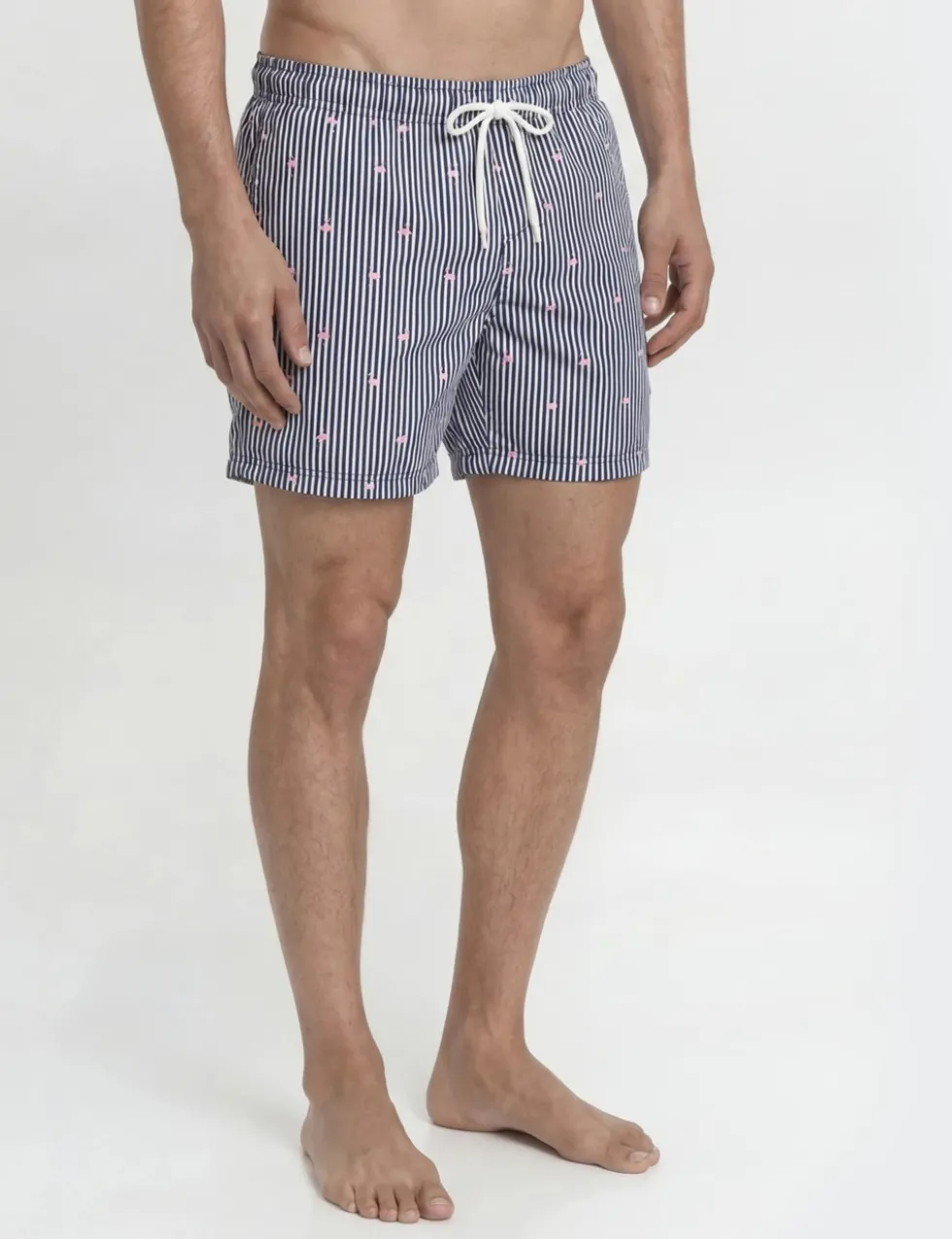 Striped Swim Shorts