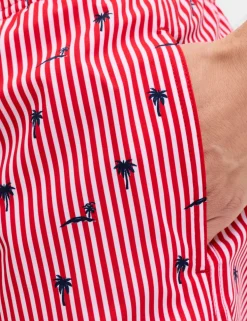 Striped Swim Shorts