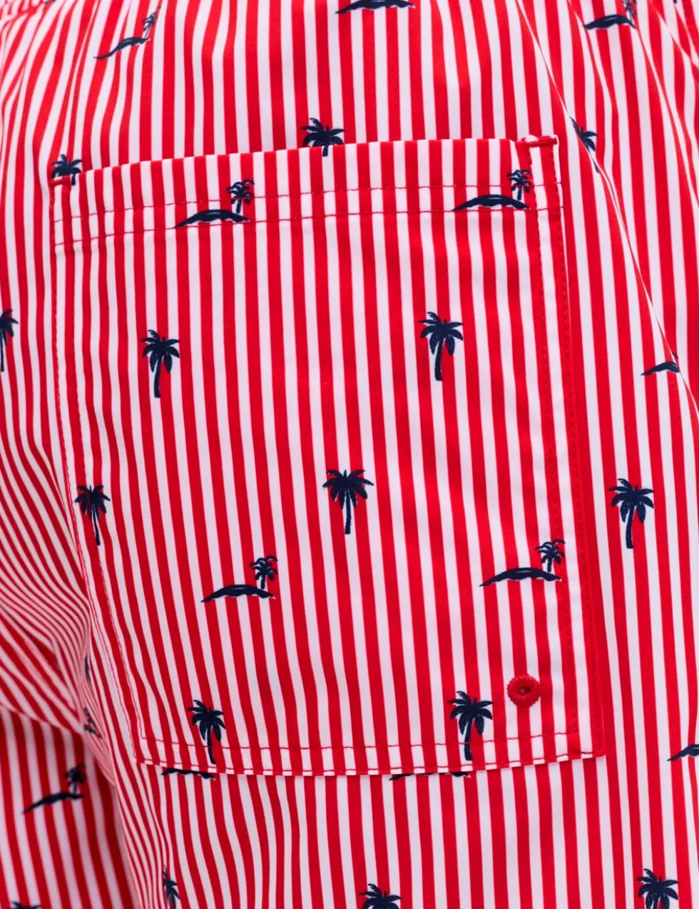Striped Swim Shorts