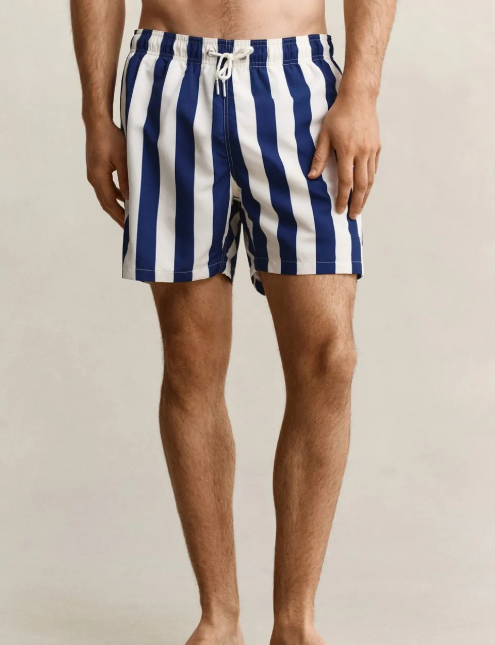 Striped Swim Shorts
