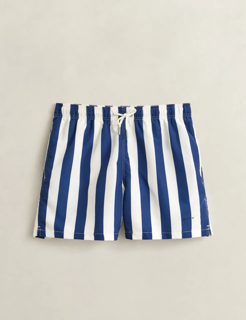 Striped Swim Shorts