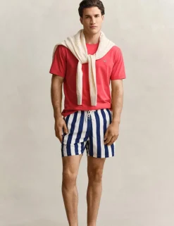 Striped Swim Shorts
