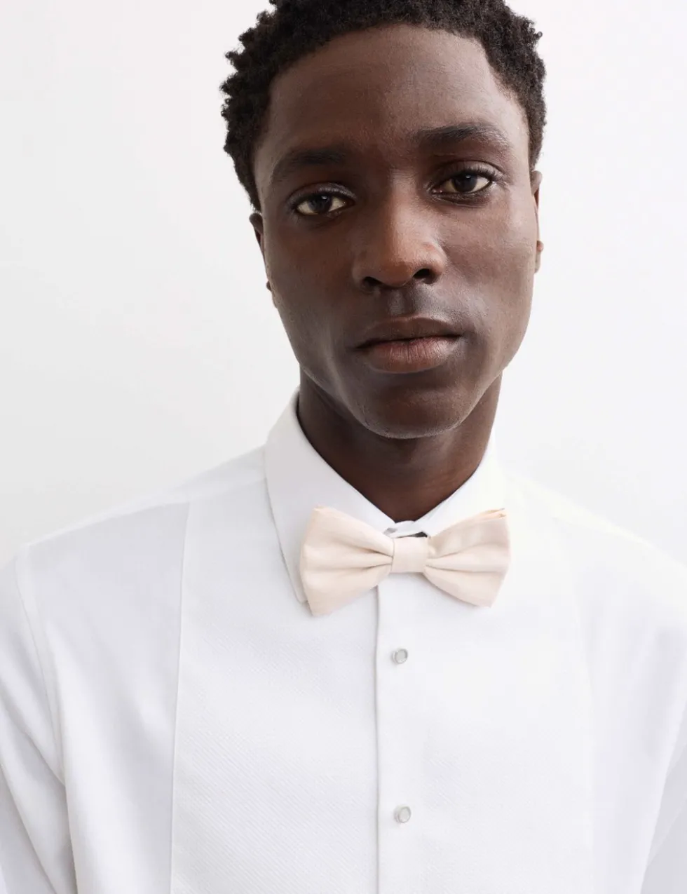 Tailored Fit Pure Cotton Bib Front Dress Shirt