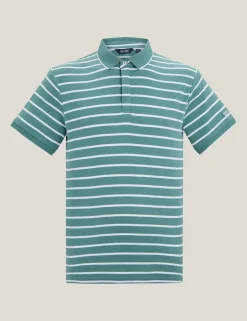 Tiver Pure Cotton Striped Polo Shirt
