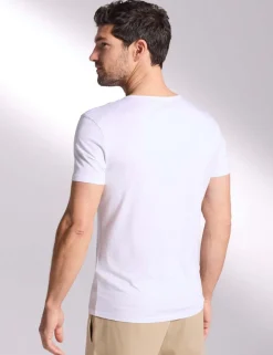 Ultimate Cotton Modal Scoop Neck T-Shirt