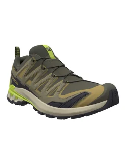 XA Pro 3D V9 GTX Trail Running Trainers